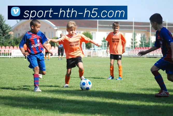 华体会体育品牌故事